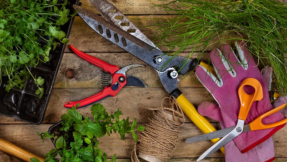 Winter is a good time to clean and sharpen tools. Photo: Piqsels